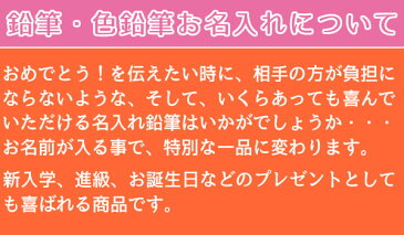 鉛筆2ダースと金箔押し名入れのセット品 三菱鉛筆 ユニパレット パステルブルー＋赤鉛筆 5563 6角軸 硬度2種（B・2B） 2ダース（24本）と彫刻名入れ かきかたえんぴつ