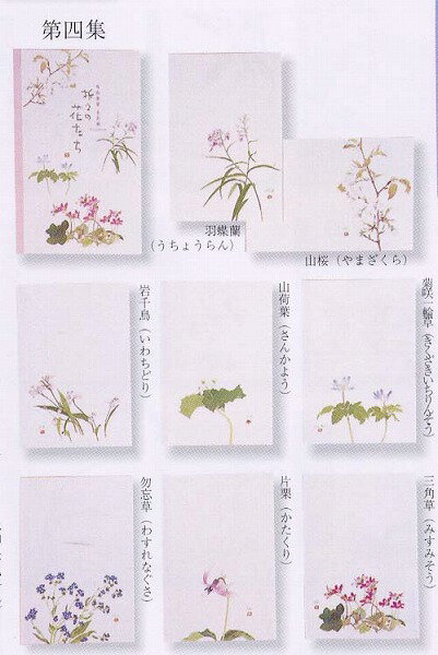 外山康雄 画 折々の花たちはがきセット 第四集（春）30-527