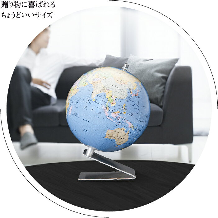 渡辺教具製作所 WS 小型地球儀（行政） W-1204 シルバー台 球径12cm 縮尺1億分の1