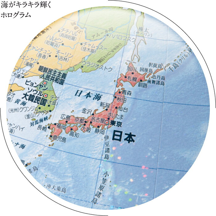 渡辺教具製作所 地球儀 光波ユニバーサル W-2610 スチール台 球径26cm 縮尺4,850万...