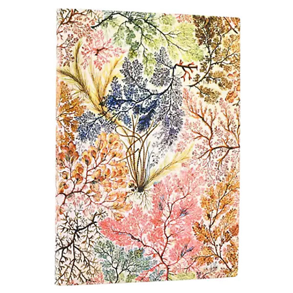 Rakuten - paperblanks ペーパーブランクス ノートブック ミディ（MIDI）サイズ FB9904-8 アネモネ ソフトカバー 176頁 罫線