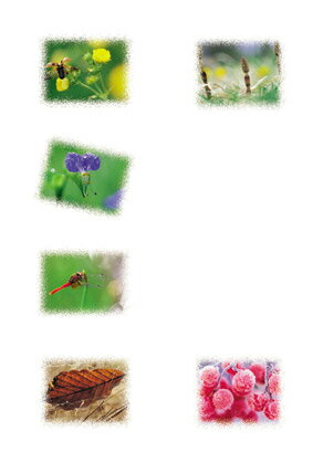 ۥ˥Τ㤨֡ ˴ؤ餺Ȥޤ 饫ȡݥȥɤΤߡ Ϥݥȥɡڥ᡼OKۡפβǤʤ149ߤˤʤޤ