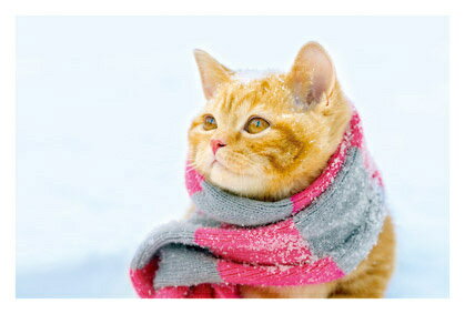 ● 冬の追憶　絵はがき・ポストカード　【メール便OK】のサムネイル