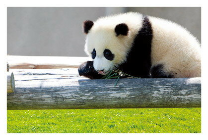 ۥ˥Τ㤨֡ ѥΰ㤤Τ狼ˡʡˡϤݥȥɡڥ᡼OKۡפβǤʤ149ߤˤʤޤ