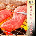 【3/29限定 最大2400円OFFクーポン配布中】松阪牛 A5 焼肉 300g 【極上松阪牛 カルビ 「松阪牛証明書付き」】 お中元 御中元 ギフト 和牛 肉 お肉 肉ギフト 牛肉 焼き肉 焼肉用 焼き肉用 牛カルビ肉 カルビ肉 国産牛肉 高級肉 御歳暮 高級 内祝い 食べ物 お祝い返し 2023 3