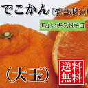 デコポン 訳あり 【送料無料】大玉8kg 愛媛県大三島産 で...