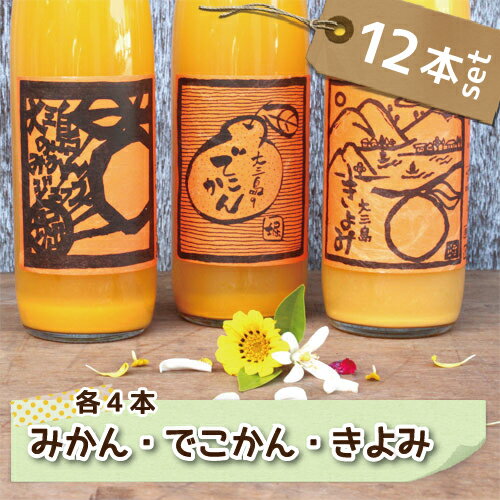 愛媛県産 島みかん ジュース 3種類セット 500ml×12本 贈り物 女子会 送料無料 無添加 ギフト セット 詰め合わせ 果汁100% フルーツ プレゼント お歳暮 お中元 内祝い 高級 ストレート ジュース 愛媛 国産