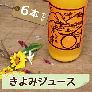 愛媛県産 島育ち 清見 ジュース 500ml×6本 贈り物 女子会 送料無料 水も入ってない 無添加 ギフト セット 詰め合わせ 果汁100% フルーツ プレゼント お歳暮 お中元 内祝い 高級 蜜柑ジュース ミカンジュース みかんジュース ストレート 愛媛 柑橘 国産〔ジュース〕