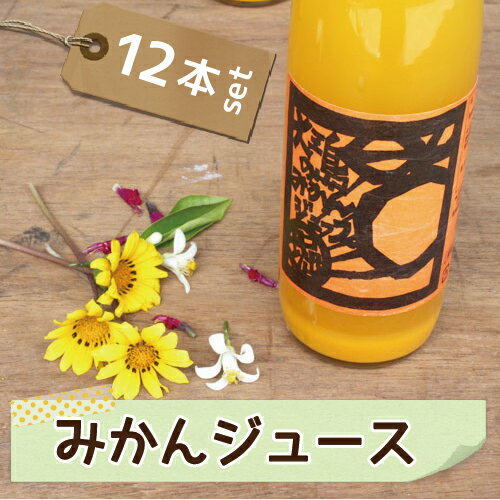 愛媛県産 島みかん ジュース 500ml×12本 贈り物 女子会 送料無料 水も入ってない 無添加 蜜柑ジュース ミカンジュース みかんジュース ストレート ギフト セット 詰め合わせ 果汁100% フルーツ プレゼント お歳暮 お中元 内祝い 高級 柑橘 愛媛 国産〔ジュース〕