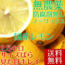 ポイント5倍【送料無料】 【愛媛県大三島産】無農薬レモン【サイズバラ2.5キロ】 国産レモン 訳あり ワケあり わけあり レモン れもん 訳あり果物 国産 無農薬 柑橘 果物 くだもの フルーツ 愛媛 愛媛県 産 家庭 家庭用 自宅 自宅用 お取り寄せ ホリ田ヤ