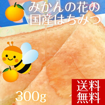 【送料無料】はちみつ みかん 国産 愛媛県産 大三島みかんハチミツ 天然蜂蜜 300g 純粋 はちみつ 国産 ハチミツ 純粋 蜂蜜 純粋 はちみつ 国産蜂蜜 みかん蜂蜜 天然はちみつ 柑橘 無添加 愛媛 土産 ご当地 お取り寄せ ギフト プレゼント 贈り物 ホリ田ヤ