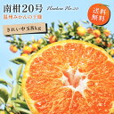 【早割10%OFF★12月中旬以降発送予定】送料無料 南柑20号みかん 大和撫子(キレイ) 中玉 8kg ◆ 愛媛県 大三島 お取り寄せ 国産 みかん 愛媛みかん 果物 フルーツ 供物 ギフト 贈答用 プレゼント 贈り物 グルメ 敬老の日