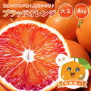 国産ブラッドオレンジ 性格美人(キズ) 大玉 (6.7cm以上) 4kg ◆ 愛媛県 大三島 お取り寄せ 国産 みかん 蜜柑 柑橘 愛媛みかん 果物 フルーツ 訳あり わけあり グルメ 母の日(4)