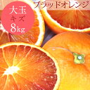 国産ブラッドオレンジ 性格美人(キズ) 大玉 (6.7cm以上) 8kg ◆ 愛媛県 大三島 お取り寄せ 国産 みかん 蜜柑 柑橘 愛媛みかん 果物 フルーツ ...