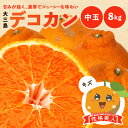 送料無料 デコカン 性格美人(キズ) 中玉 8kg ◆ 愛媛県 大三島 お取り寄せ 国産 みかん 蜜柑 柑橘 愛媛みかん 果物 フルーツ 訳あり わけあり グル...