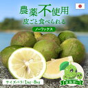 【最大800円OFFクーポン★8/24 20:00〜8/27 9:59】冷蔵発送 送料無料 国産グリーンレモン(農薬不使用) 家族想い(家庭用) サイズばら 1...