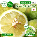 【早割10%OFF★2025年9月下旬以降発送予定】皮ごと食べられる 国産グリーンレモン(減農薬栽培) 家族想い(家庭用) サイズばら 2.5kg ◆ ノーワッ...
