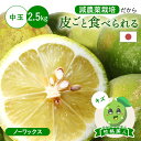 【早割10%OFF★2025年9月下旬以降発送予定】皮ごと食べられる 国産グリーンレモン(減農薬栽培) 性格美人(キズ) 中玉 2.5kg ◆ ノーワックス・防...