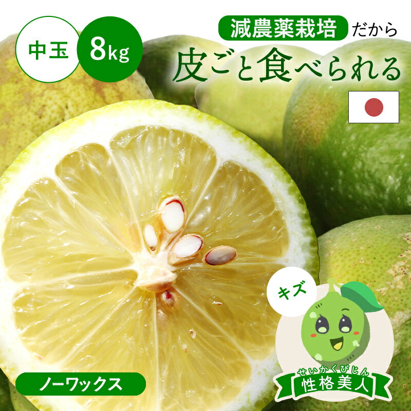 皮ごと食べられる 国産グリーンレモン(減農薬栽培) 性格美人(キズ) 中玉 8kg ◆ ノーワックス・防腐剤不使用 愛媛県 大三島 お取り寄せ 国産 レモン 愛媛レモン 果物 フルーツ 訳あり わけあり グルメ