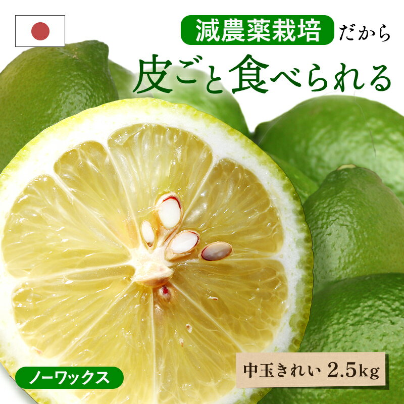 皮ごと食べられる 国産グリーンレモン(減農薬栽培) 大和撫子(きれい) 中玉 2.5kg ◆ノーワックス・防腐剤不使用 愛媛県 大三島 お取り寄せ 国産 レモン 愛媛レモン 果物 フルーツ 供物 ギフト 贈答 プレゼント 贈り物