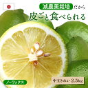【早割10%OFF★2025年9月下旬以降発送予定】皮ごと食べられる 国産グリーンレモン(減農薬栽培) 大和撫子(きれい) 中玉 2.5kg ◆ノーワックス・防...