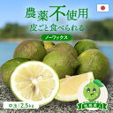 【最大800円OFFクーポン★10/24 20:00〜10/27 9:59】送料無料 国産グリーンレモン(農薬不使用) 性格美人(キズ) 中玉 2.5kg ◆ 愛媛県 大三島 お取り寄せ 国産 みかん 蜜柑 柑橘 愛媛みかん 果物 フルーツ 訳あり わけあり グルメ