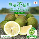 【最大800円OFFクーポン★10/24 20:00〜10/27 9:59】送料無料 国産グリーンレモン(農薬不使用) 性格美人(キズ) 中玉 4kg ◆ 愛媛県 大三島 お取り寄せ 国産 みかん 蜜柑 柑橘 愛媛みかん 果物 フルーツ 訳あり わけあり グルメ