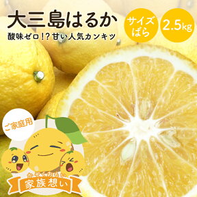 【最大800円OFFクーポン★4/24 20:00～4/27 9:59】送料無料 はるか 家族想い(家庭用) サイズばら 2.5kg ◆ 愛媛県 大三島 お取り寄せ 国産 みかん 蜜柑 柑橘 愛媛みかん 果物 フルーツ 訳あり わけあり グルメ