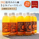 送料無料 島みかんジュース きよみ＆温州みかんセット 500ml×12本 ◆ 愛媛県 大三島 無添加 ストレート 100% 果汁 高級 お取り寄せ プレゼント 贈答用 内祝い 結婚祝い 出産祝い ギフト 詰め合わせ 贈り物 お中元