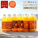 送料無料 島みかんジュース 3種類セット500ml×12本 ◆ 愛媛県 大三島 無添加 ストレート 100% 果汁 高級 濃厚 土産 お取り寄せ プレゼント 贈答用 内祝い 結婚祝い 出産祝い ギフト セット 詰め合わせ 贈り物 お中元