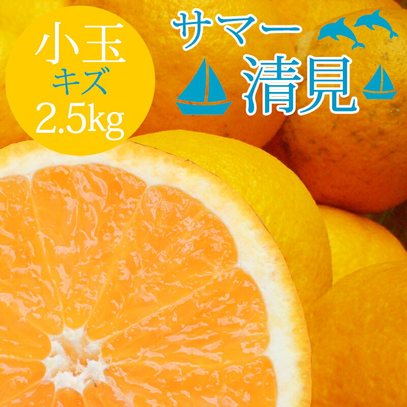 冷蔵発送 送料無料 サマー清見 かがやき・輝き 性格美人(キズ) 小玉 2.5kg ◆ 愛媛県 大三島 お取り寄せ 国産 みかん …