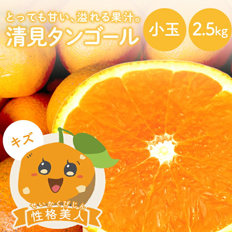 【最大800円OFFクーポン★5/9 20:00〜5/16 1:59】冷蔵発送 清見タンゴール 性格美人(キズ) 小玉 2.5kg 送料無料 ◆ 愛媛県 大三島 お取り寄せ 国産 みかん 蜜柑 柑橘 愛媛みかん 果物 フルーツ 訳あり わけありグルメ 母の日