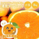 送料無料 清見タンゴール 性格美人(キズ) 小玉 8kg ◆ 愛媛県 ...(4)