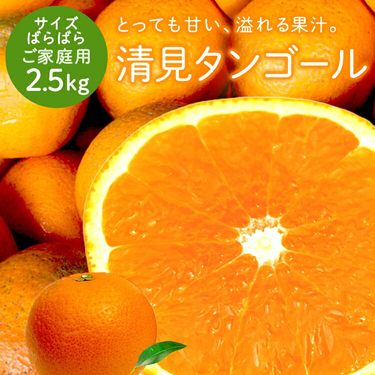 SUNC オレンジ業務用濃縮ジュース1L(希釈タイプ)【果汁濃縮オレンジジュース】
