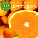 冷蔵発送 送料無料 清見タンゴール 家族想い(家庭用) サイズばら 2.5kg ◆ 愛媛県 大三島 お取り寄せ 国産 みかん 蜜…