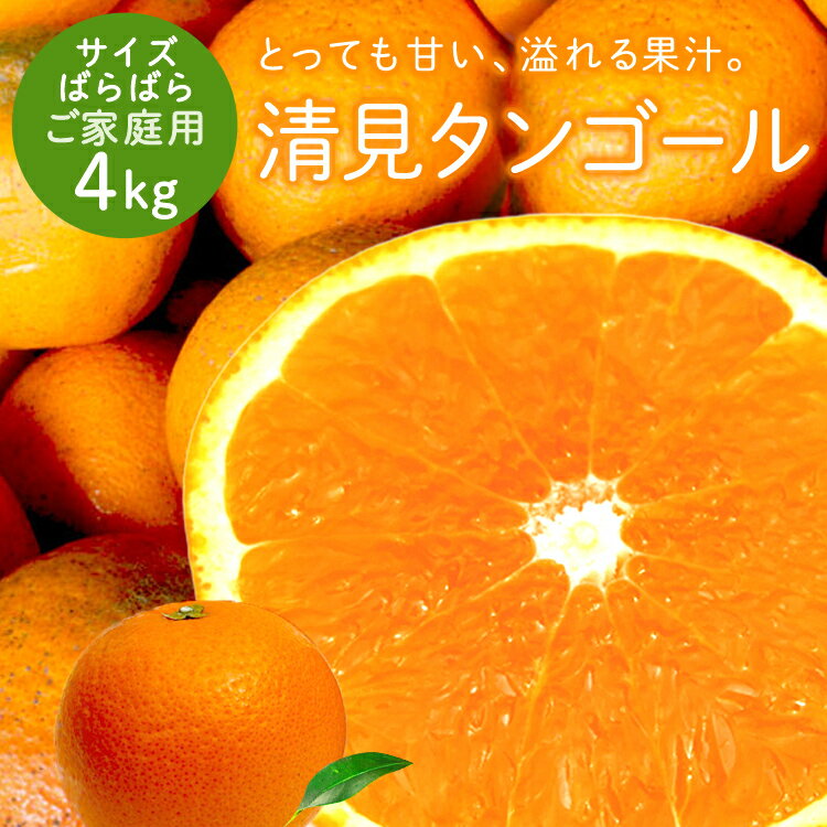 冷蔵発送 送料無料 清見タンゴール 家族想い(家庭用) サイズばら 4kg ◆ 愛媛県 大三島 お取り寄せ 国産 みかん 蜜柑 …