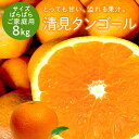 冷蔵発送 送料無料 清見タンゴール 家族想い(家庭用) サイズばら 8kg ◆ 愛媛県 大三島 お取り寄せ 国産 みかん 蜜柑 …