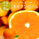 冷蔵発送 送料無料 清見タンゴール 性格美人(キズ) 大玉 8kg ◆ 愛媛県 大三島 お取り寄せ 国産 みかん 蜜柑 柑橘 愛媛みかん 果物 フルーツ 訳あり わけあり グルメ お中元