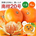 【早割10%OFF★12月中旬以降発送予定】送料無料 南柑20号みかん 性格美人(キズ) 小玉 4kg ◆ 愛媛県 大三島 お取り寄せ 国産 みかん 蜜柑 柑橘 愛媛みかん 果物 フルーツ 訳あり わけあり グルメ
