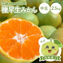 【早割10%OFF★2025年9月下旬以降発送予定】送料無料 極早生みかん 性格美人(キズ) 中玉 2.5Kg ◆ 訳ありみかん ミカン 蜜柑 愛媛みかん 愛媛...