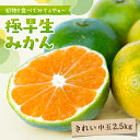 【早割10%OFF★2025年9月下旬以降発送予定】送料無料 極早生みかん 大和撫子(きれい) 中玉 2.5Kg ◆みかん ミカン 蜜柑 愛媛みかん 愛媛ミカン...