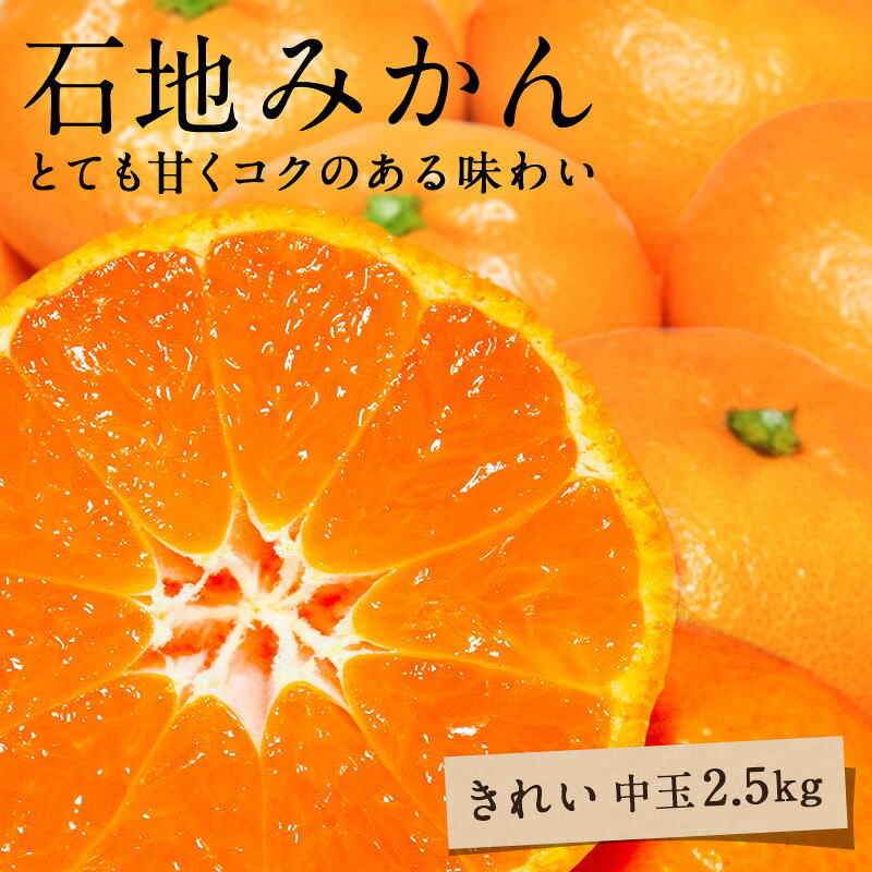 石地みかん 大和撫子(きれい) 中玉 2.5kg ◆ 愛媛県 大三島 お取り寄せ 国産 みかん 愛媛みかん 果物 フルーツ 供物 ギフト 贈答用 プレゼント 贈り物 グルメ お歳暮 送料無料のサムネイル