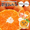 【早割10%OFF★11月中旬以降発送予定】送料無料 早生みかん 性格美人(キズ) 中玉 2.5kg ◆ 愛媛県 大三島 お取り寄せ 国産 みかん 蜜柑 柑橘 愛媛みかん 果物 フルーツ 訳あり わけあり グルメ