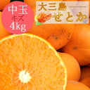 送料無料 せとか 性格美人(キズ) 中玉 4kg ◆ 愛媛県 大三島 お取り寄せ 国産 みかん 蜜柑 柑橘 愛媛みかん 果物 フルーツ 訳あり わけあり グルメ