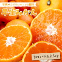 商品画像3