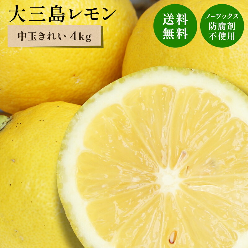 お選びいただける 水引の種類 シーン 花結び（蝶結び） 　 お中元、お歳暮、御祝、内祝い、出産祝い、入学祝、新築祝い、長寿のお祝い 結び切り 　 結婚祝い、お見舞い、快気内祝い 鮑結び（あわじ結び） 　 結婚祝い、お見舞い、快気内祝い 結び切り（弔事用） 　 法事、法要の香典返し、お盆、お彼岸、お供え 生の果物となりますので当店の出荷日から早めにお受け取り願います。お受け取り後は早めに商品状態をご確認願います。 内容量 国産　島レモン　4キロ サイズ 中玉 商品説明 瀬戸内の島、大三島で栽培された 減農薬栽培レモンです。 防腐剤・カビ防止剤・ワックスは 一切使用しておりません。 安心して皮ごとご利用いただけます。 潮風のミネラルが旨味を引きだし 濃厚で後口まろやかなレモンです。 輸入レモンとは、一味も二味も違う島レモン お楽しみください。 見た目 ■きれい ギフトや贈答用にも最適 ■当店の柑橘はワックス処理、 防腐処理を一切しておりません。 発送・送料 ■送料無料※北海道・沖縄は送料300円頂戴いたします。 産地 愛媛県大三島 ※大和撫子(きれい)の商品の一部にも小さな傷が含まれる場合がございます。予めご了承ください。この商品は減農薬栽培レモンです。 北海道・沖縄への発送は送料300円頂戴いたします。　