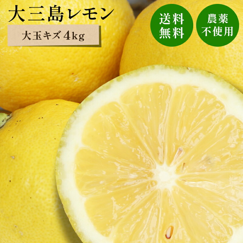 冷蔵発送 送料無料 国産レモン(農薬不使用) 性格美人(キズ) 大玉 4kg ◆ 愛媛県 大三島 お取り寄せ 国産 みかん 蜜柑 …