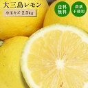 冷蔵発送 送料無料 国産レモン(農薬不使用) 性格美人(キズ) 小玉 2.5kg ◆ 愛媛県 大三島 お取り寄せ 国産 みかん 蜜柑 柑橘 愛媛みかん 果物 フルーツ 訳あり わけあり グルメ お中元