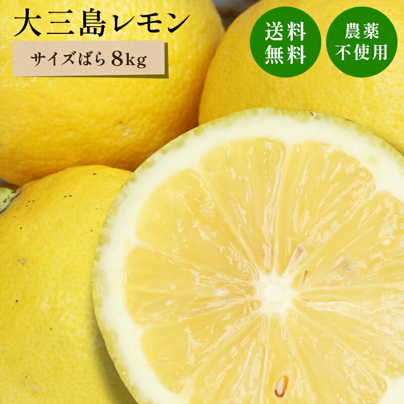 冷蔵発送 送料無料 国産レモン(農薬不使用) 家族想い(家庭用) サイズばら 8kg ◆ 愛媛県 大三島 お取り寄せ 国産 みか…