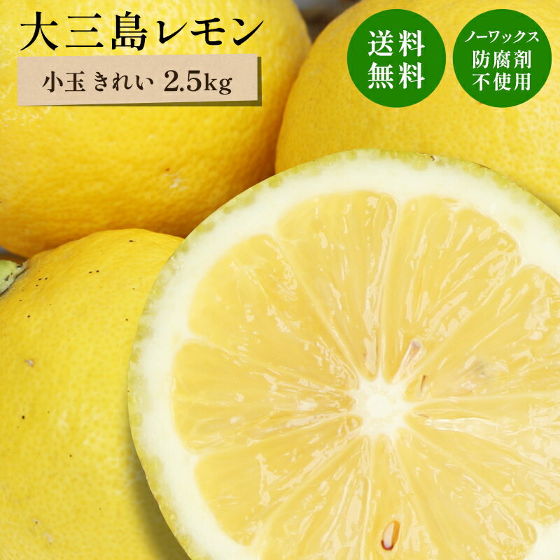 冷蔵発送 皮ごと食べられる 国産レモン(減農薬栽培) 大和撫子(きれい) 小玉 2.5kg ◆ ノーワックス・防腐剤不使用 愛…